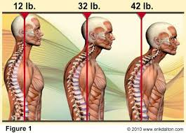 Weight of head effects